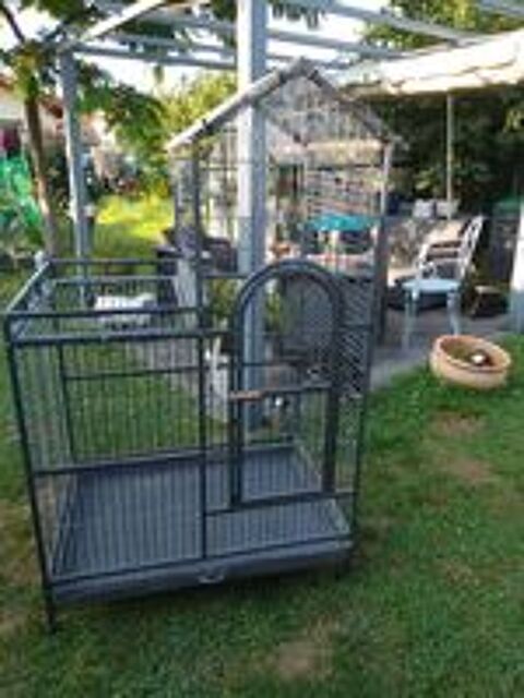   CAGE 