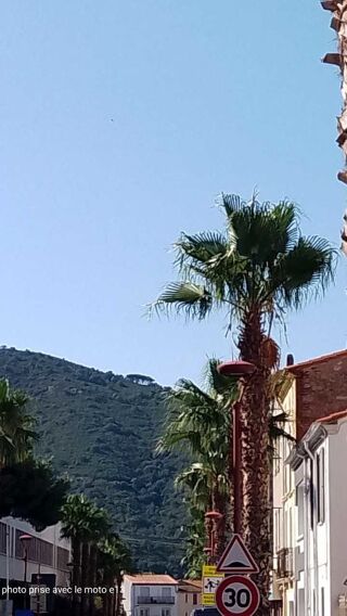  Appartement � louer 1 pi�ce 13 m�