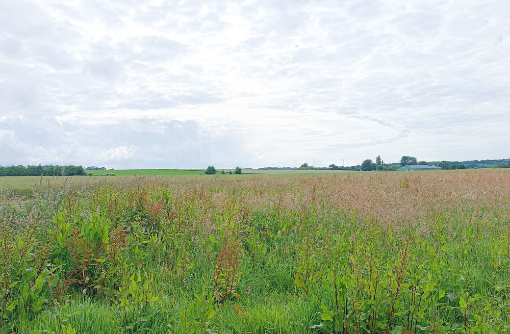 Vente Terrain SECTEUR VALMONT, TERRAIN A BATIR ENTIEREMENT VIABILISE Gerponville
