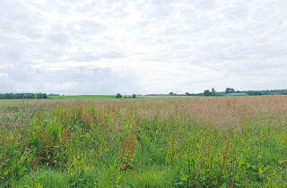  Terrain à vendre 602 m²