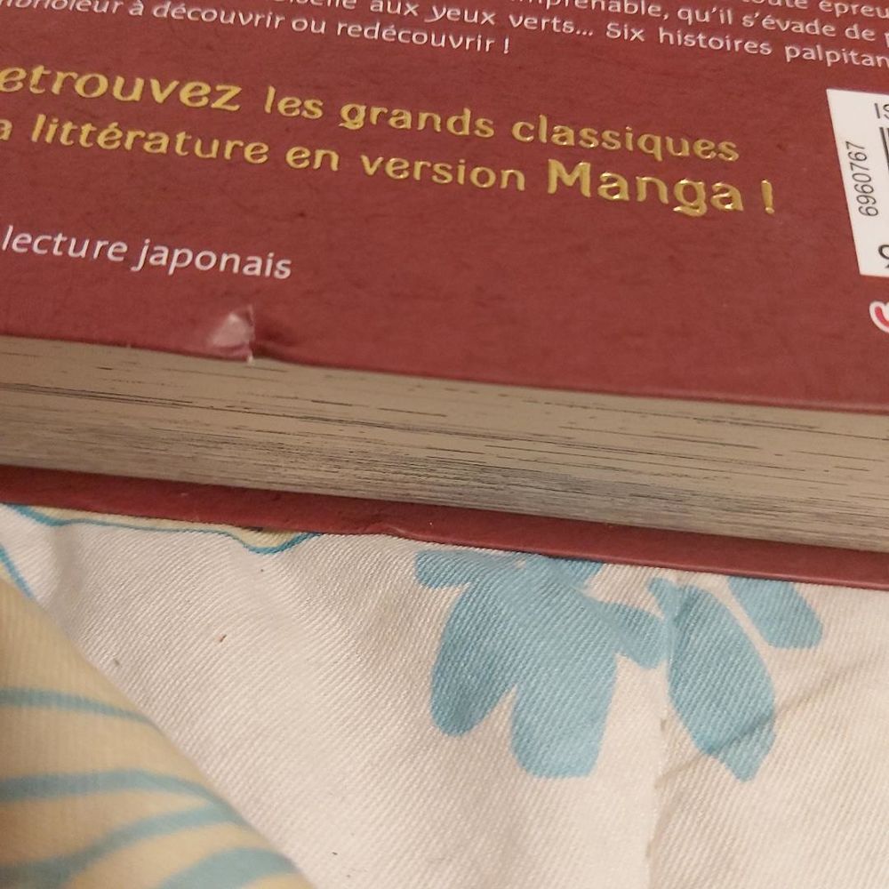 Ars&egrave;ne lupin Livres et BD