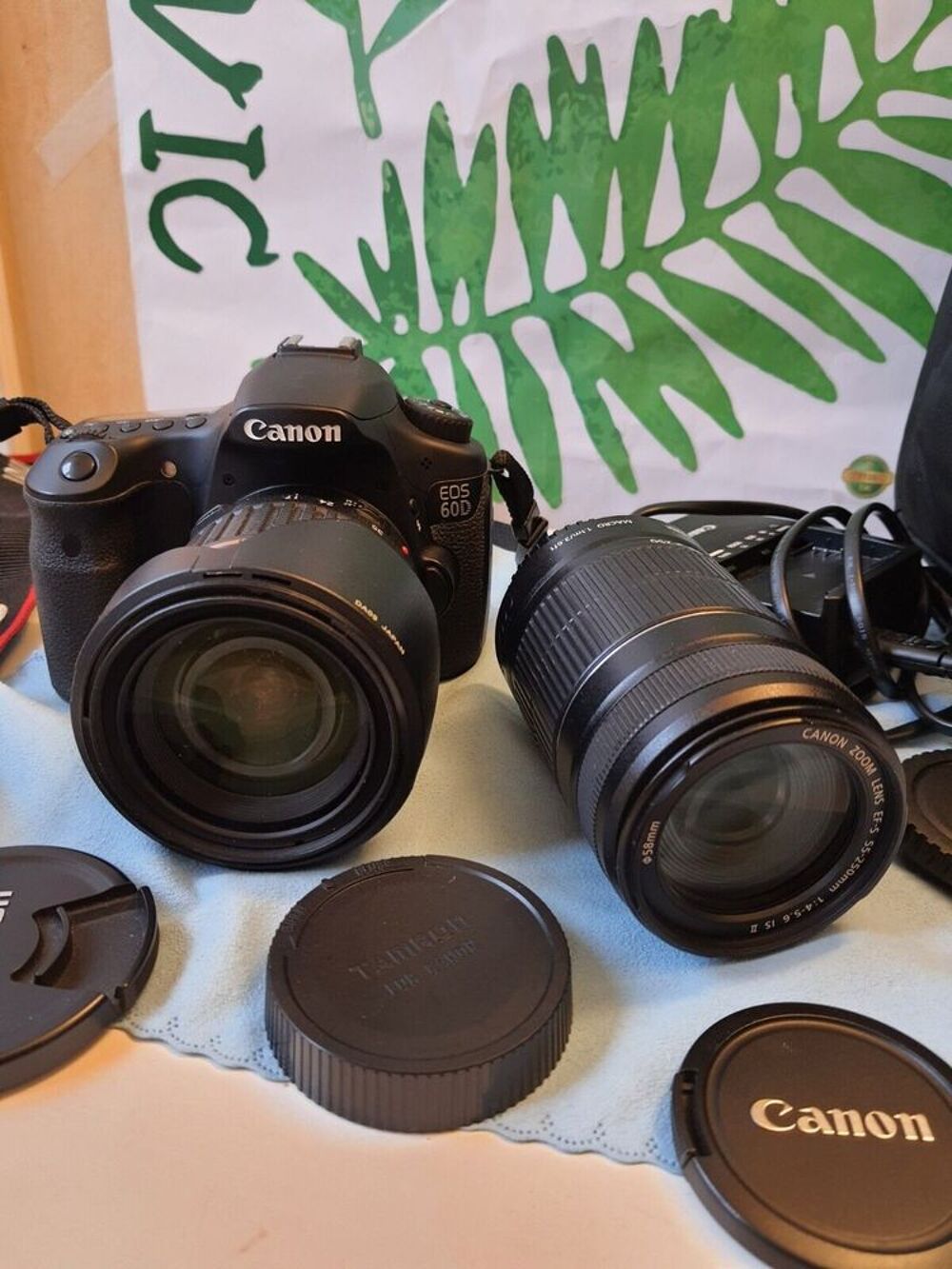 Canon EOS 60D Appareil Photo Reflex Num&eacute;rique Photos/Video/TV