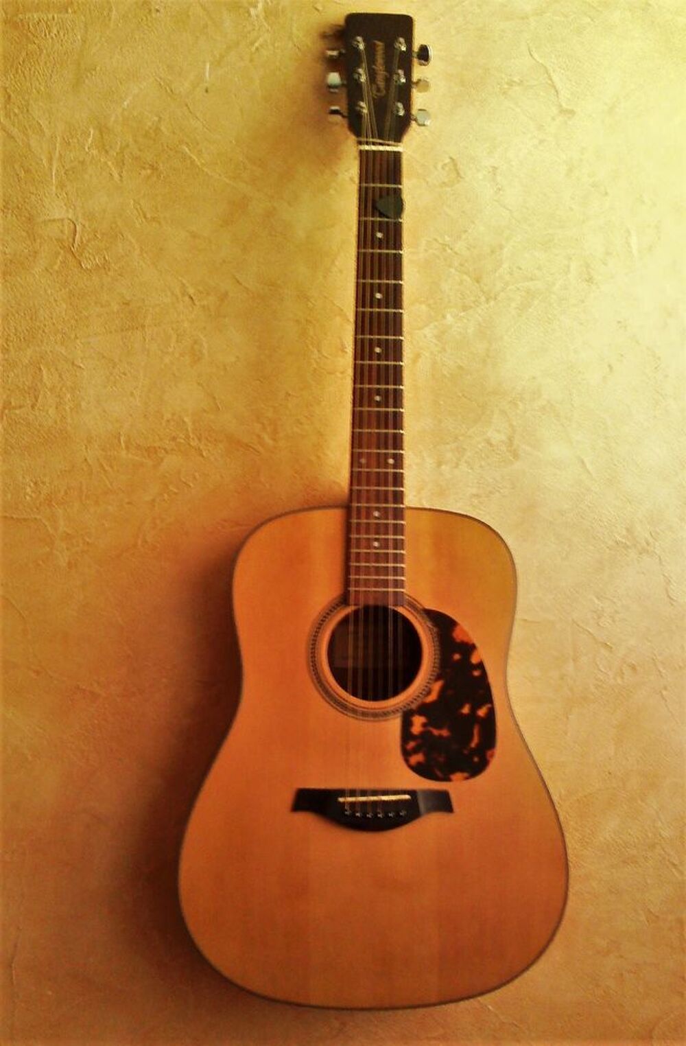  guitare TANGLEWOOD + ETUI Instruments de musique