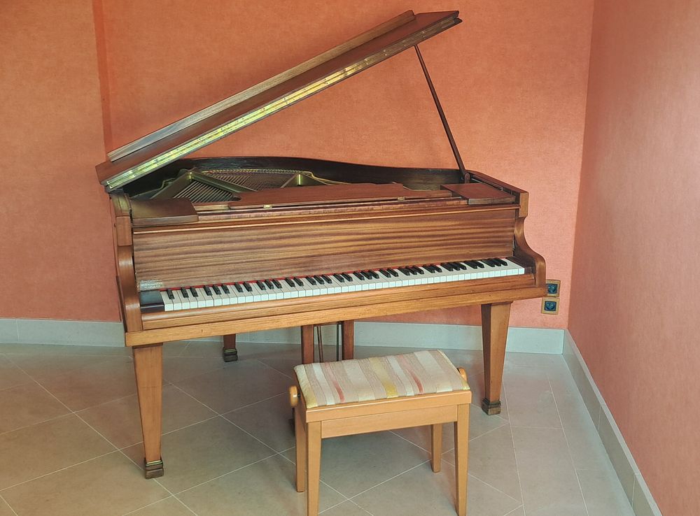 Piano quart de queue Instruments de musique