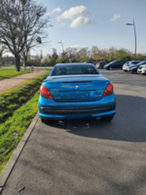 207 CC 1.6 HDi 16V 110ch FAP BLUE LION F&eacute;line 2008 occasion 45770 Saran