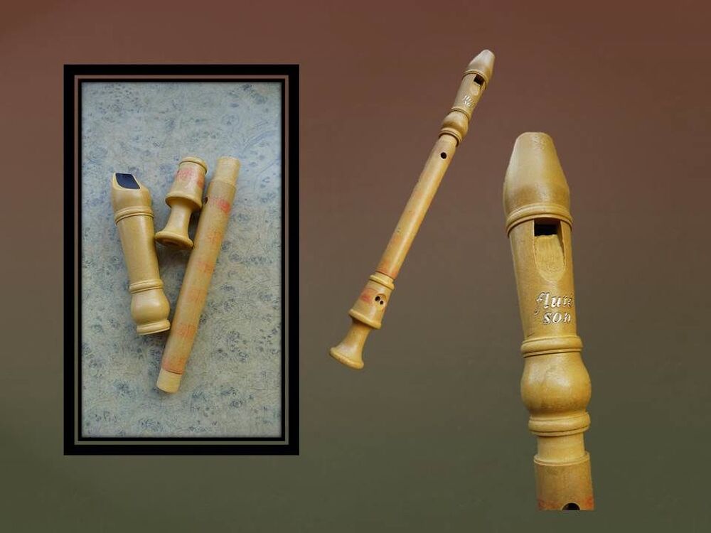Flute &agrave; bec classique Jeux / jouets