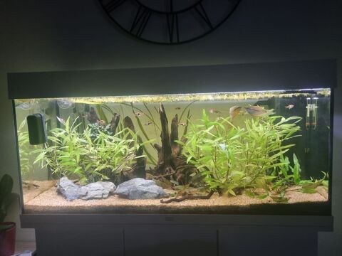 Aquarium complet  400 Amiens (80)