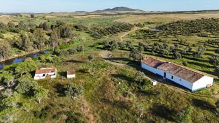  Terrain à vendre 346000 m² Mértola, portugal