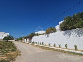  Terrain � vendre 250 m� Mrezga, tunisia
