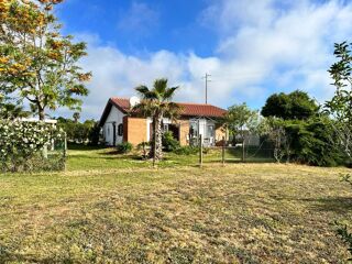  Villa � vendre 10 pi�ces 250 m� Carvalhal, portugal