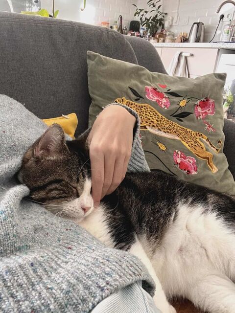 Miloé cherche sa famille pour la vie 180 93400 Saint-ouen