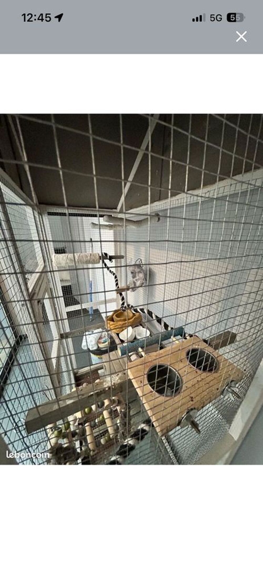 cage &agrave; oiseaux Meubles