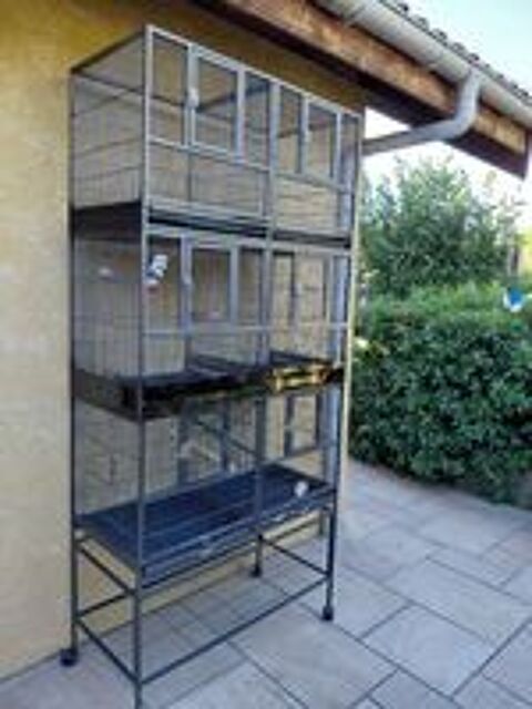   Grande cage  