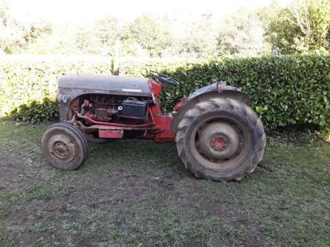 tracteur Massey Fergusson FF30DV 1958 avec 3 outils Teyjat (24)