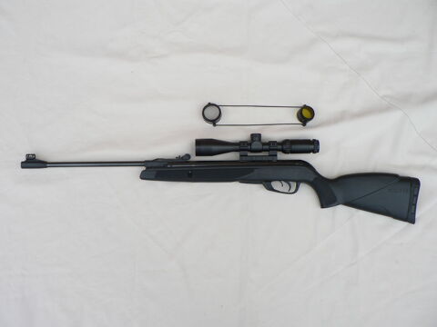 Gamo Black Shadow calibre 4,5 mm � Belfort 90
90 Lacollonge (90)