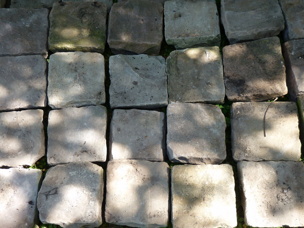 paves pierres cube regulier TBE sol amenagement jardin Jardin