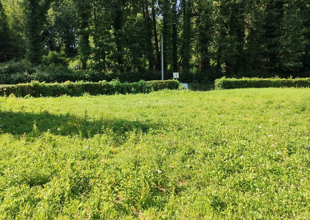 Vente Terrain TERRAIN CONSTRUCTIBLE 1 161 M² Bernieulles
