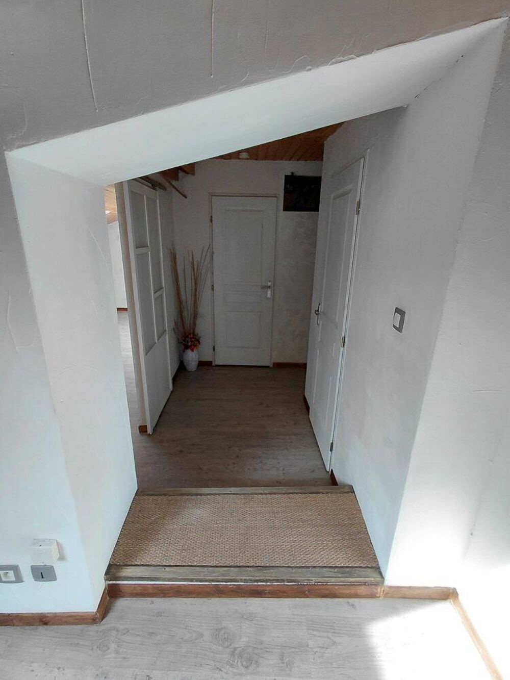 Vente Appartement 2 Appartements RAPPORT Salies-du-salat