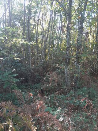  Terrain  vendre 1800 m