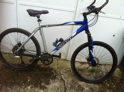 vtt giant 300 Daux (31)