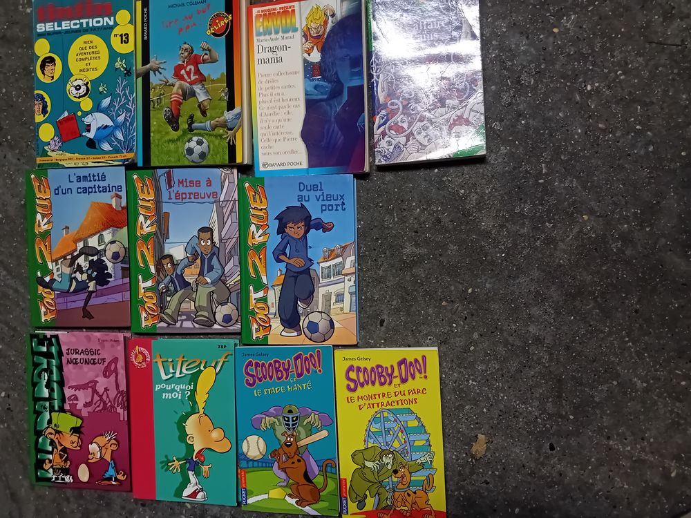 Plus de 500 Livres Divers. Livres et BD