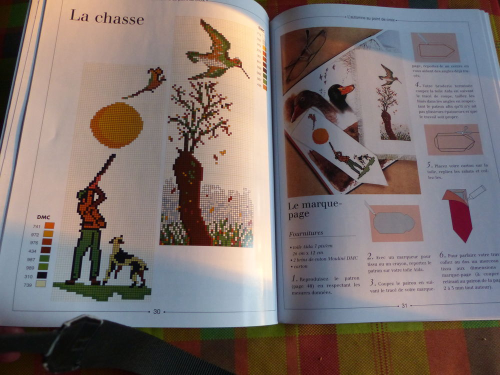L'AUTOMNE AU POINT DE CROIX Livres et BD