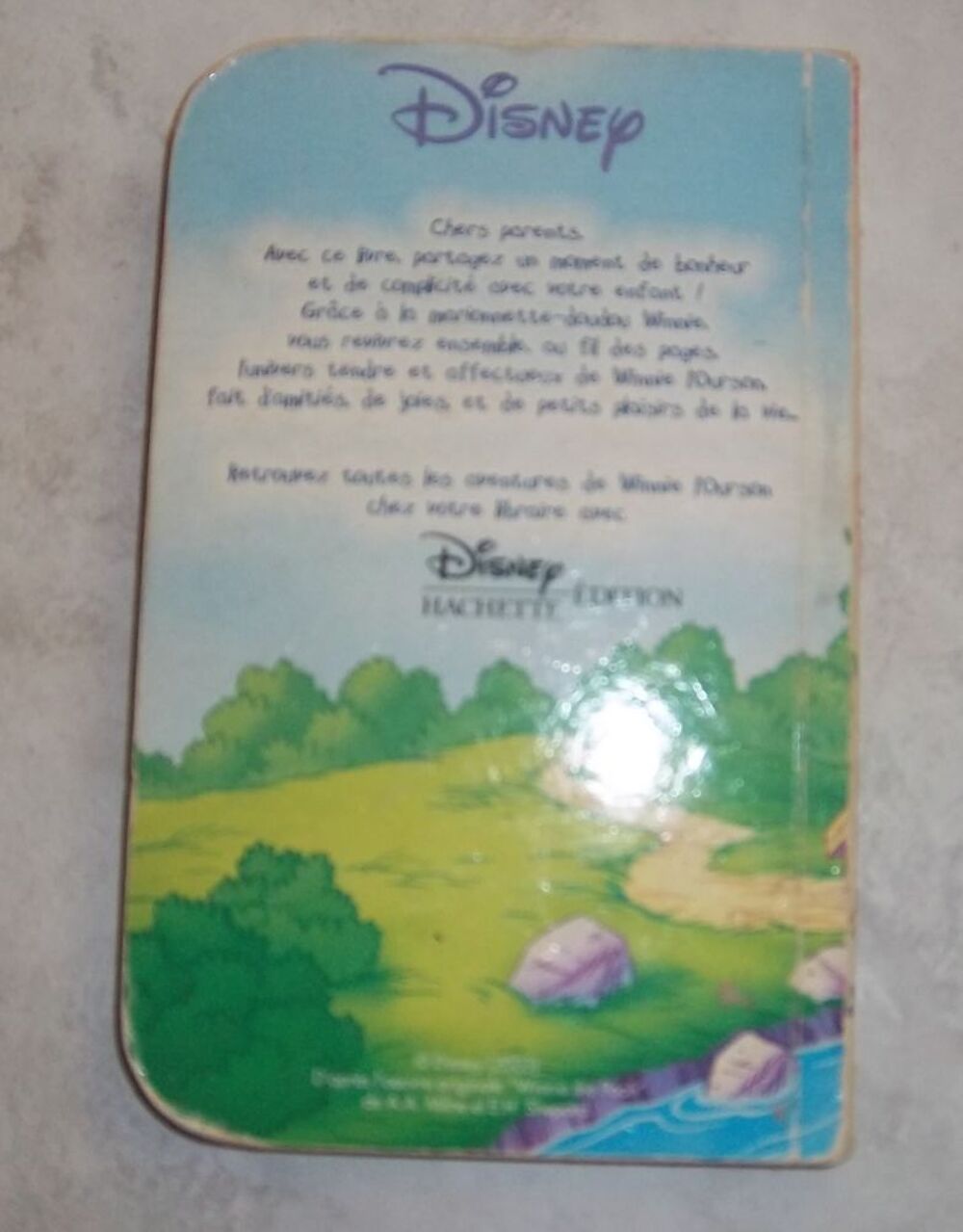 Les vacances de Winnie Disney Hachette Livres et BD