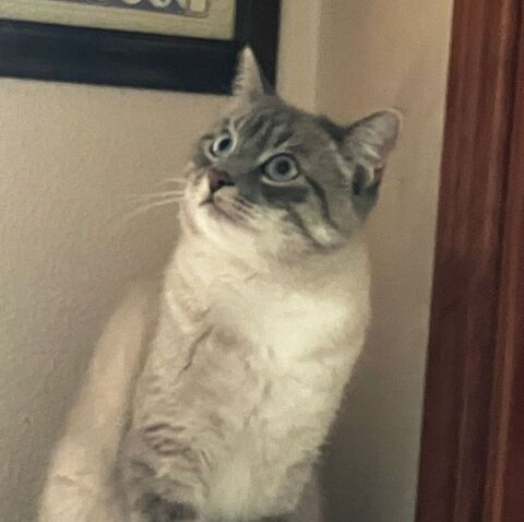 LILO 220 27620 Gasny