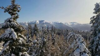 Location  Appartement 