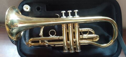 Cornet Sib 250 Vznobres (30)