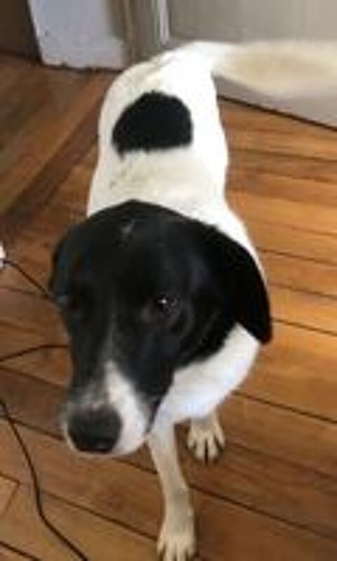   HANNA SE TROUVE EN FAMILLE D'ACCUEIL PARIS 18 RESERVEE 