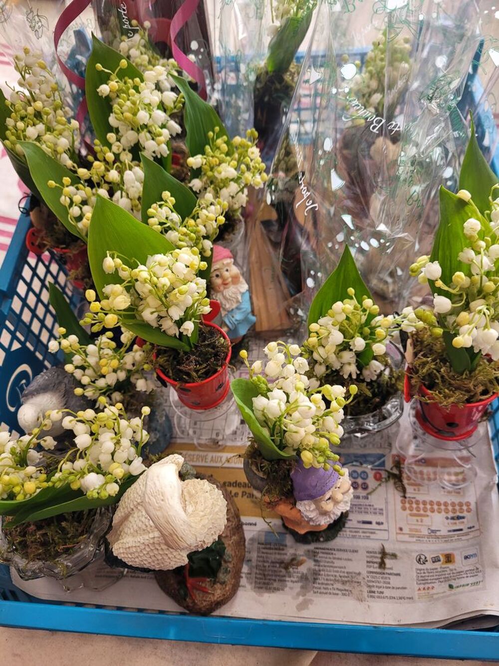 muguet pour le 1er mai Jardin