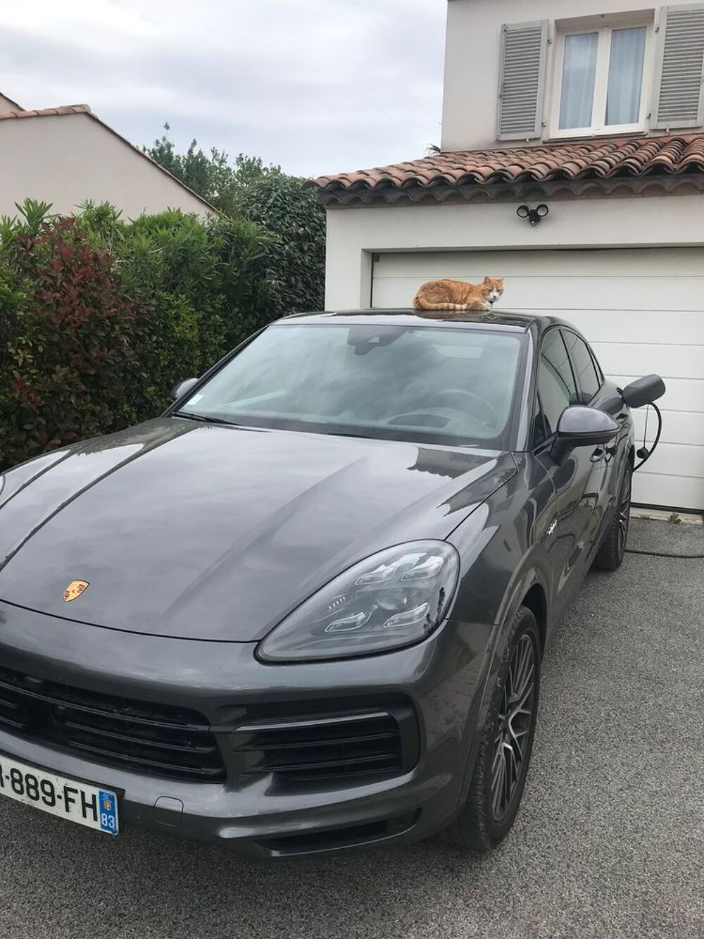 Cayenne Coupe E-Hybrid 3.0 V6 462 ch Tiptronic BVA 2020 occasion 83310 Grimaud