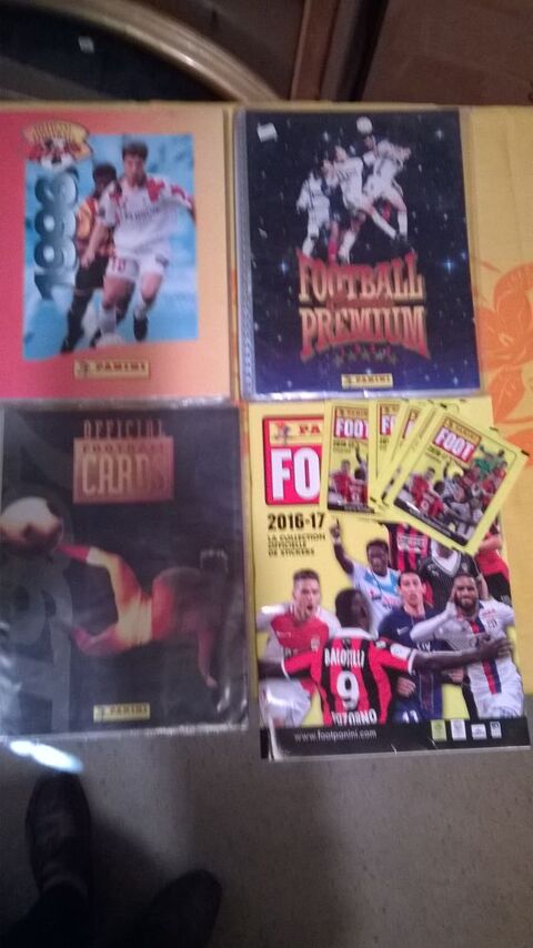 panini foot 100 Chamb�ry (73)