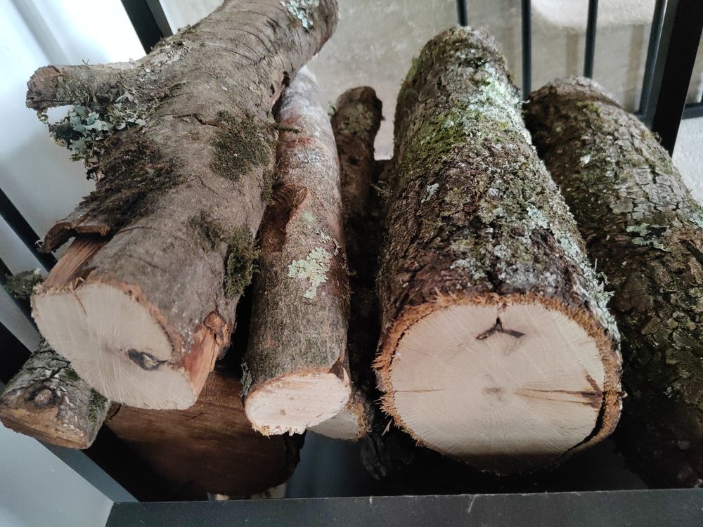 Environ 4 st&egrave;re de bois de chauffage Bricolage