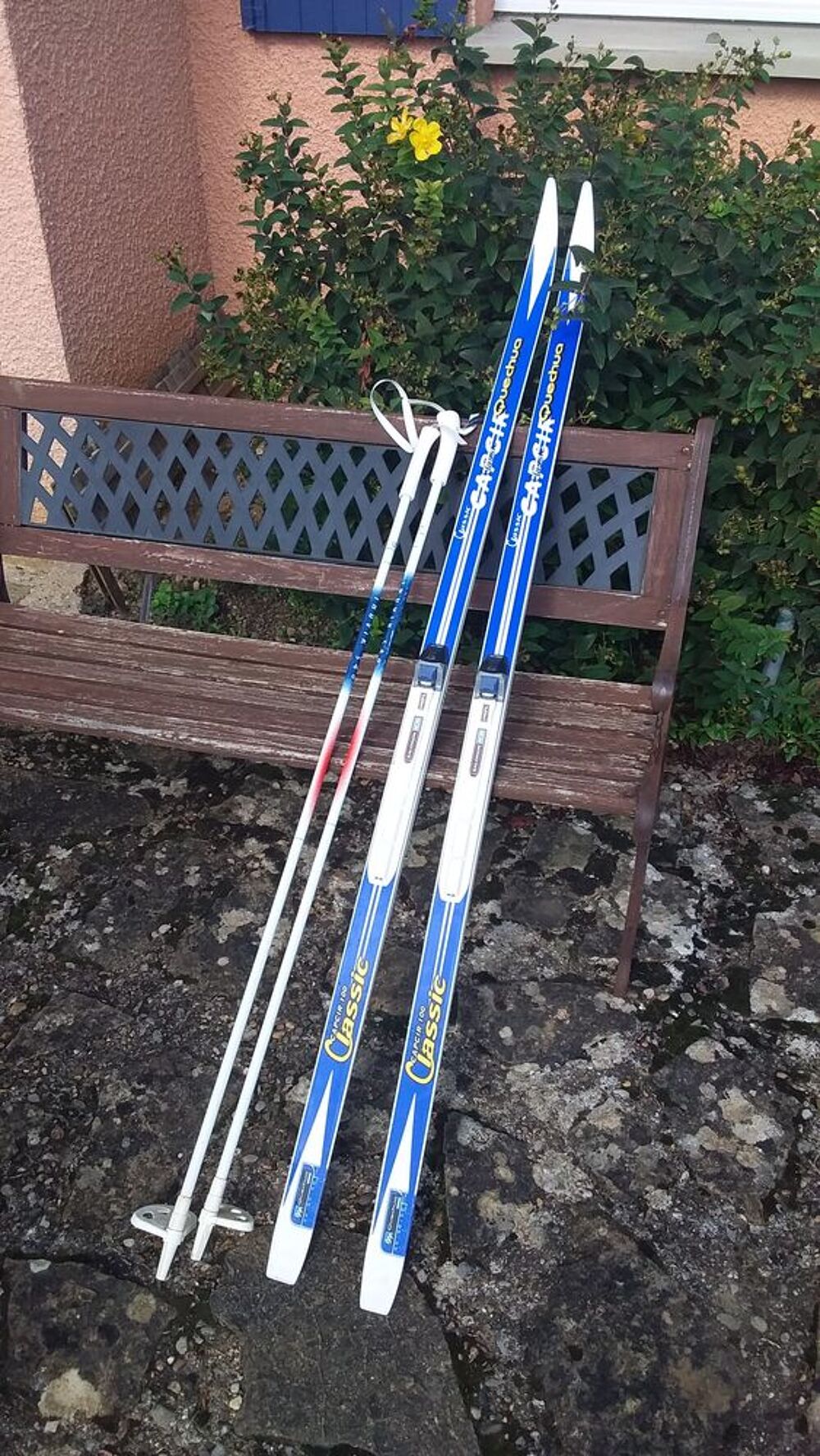Skis de fonds femme. Sports