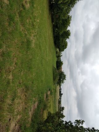 Vente Terrain terrain constructible 4.316m2. En 2 parcelles propre Amberre