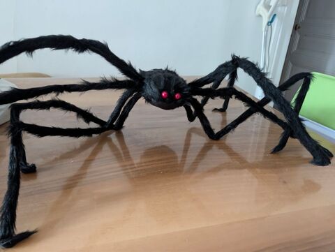 Araignée géante HALLOWEEN 125 cm 10 Pringy (74)