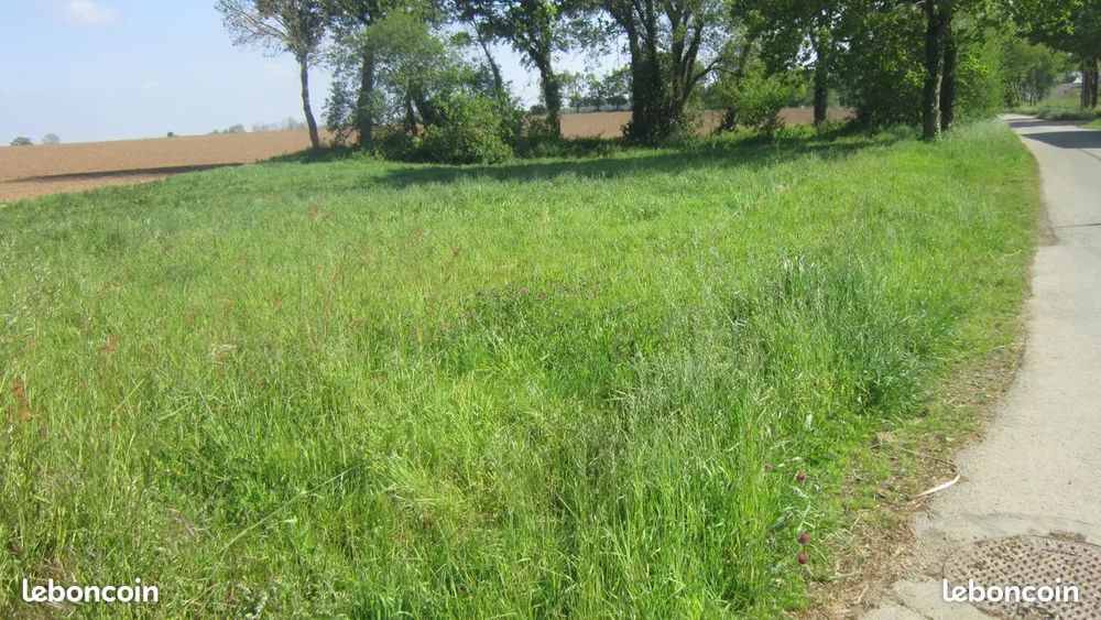 Vente Terrain Terrain constructible ( non viabilisé ) à KERFOURN 56920 Paimpol
