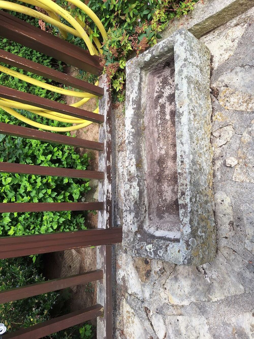 Auge en pierre Décoration