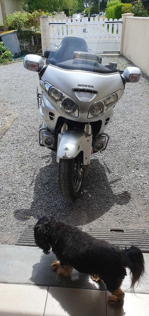 Moto HONDA 2006 occasion Gujan-Mestras 33470