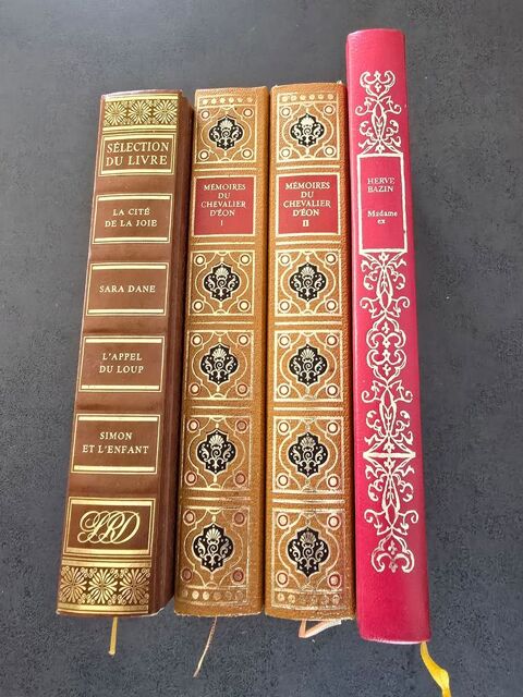 Lot 4 livres reliés, neufs, romans historiques d'auteurs Buxerolles (86)