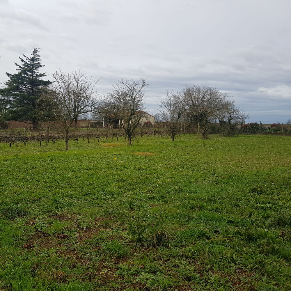 Vente Terrain Terrain constructible à Saint - Rémy Saint-rémy