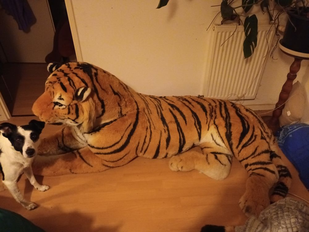 Peluche tigre g&eacute;ante 223 cm Jeux / jouets