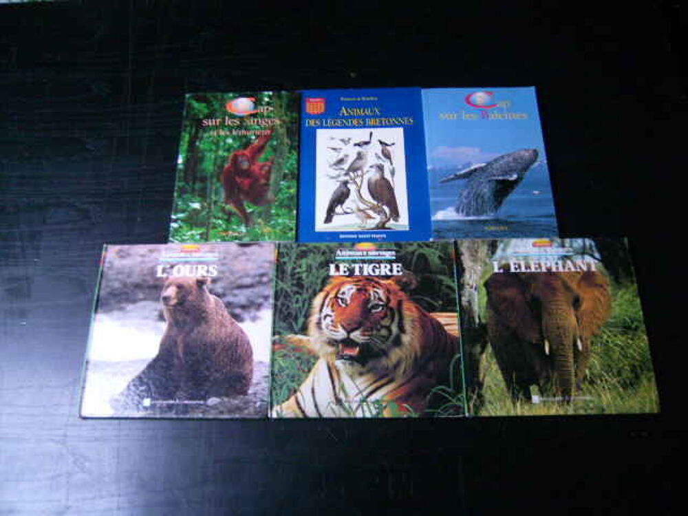 livres (6x) d'animaux pour enfants, ados ou adultes Livres et BD