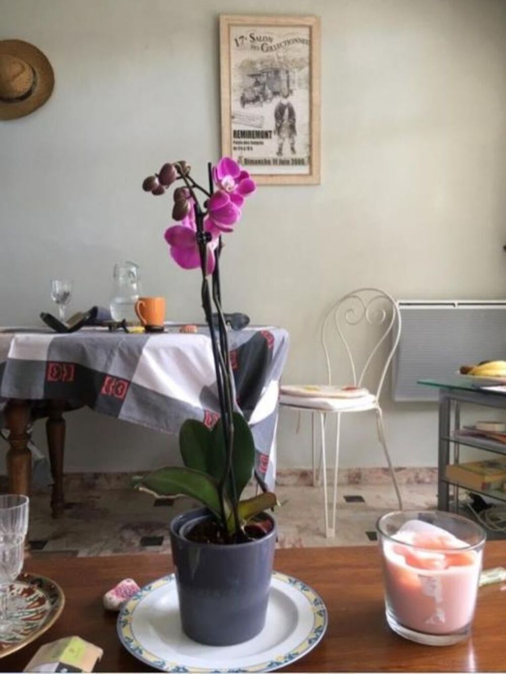 Vente Appartement Studio avec grande terrasse Vernet-les-bains