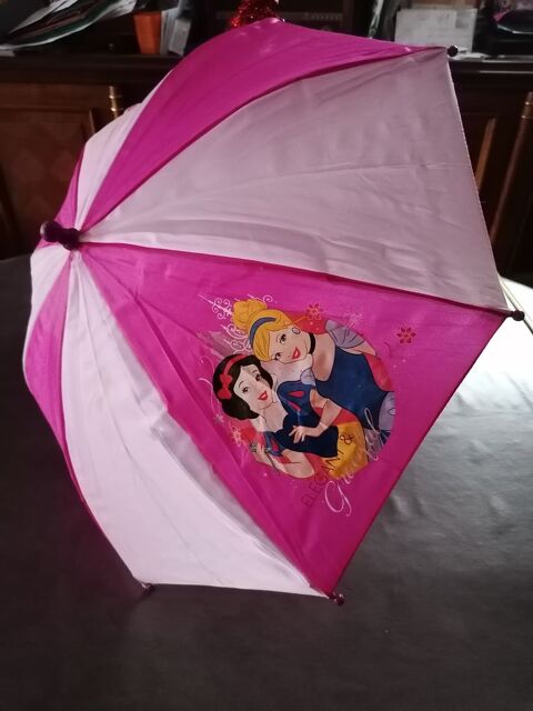 Parapluie Enfants 2 Ervy-le-Chtel (10)