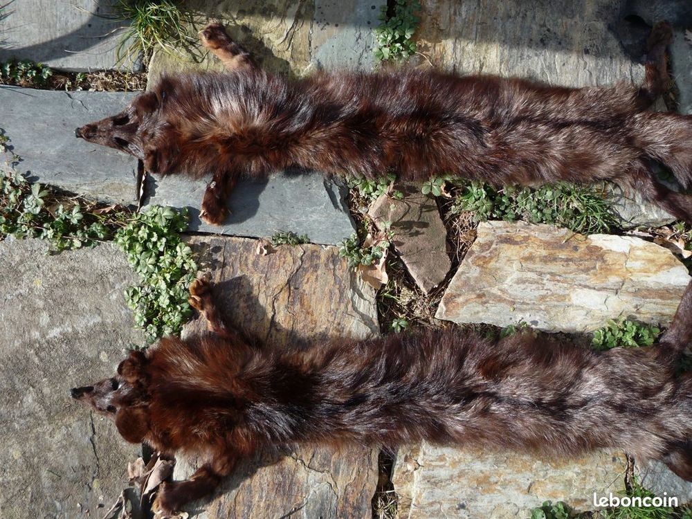 Renard argent&eacute;
Dcoration