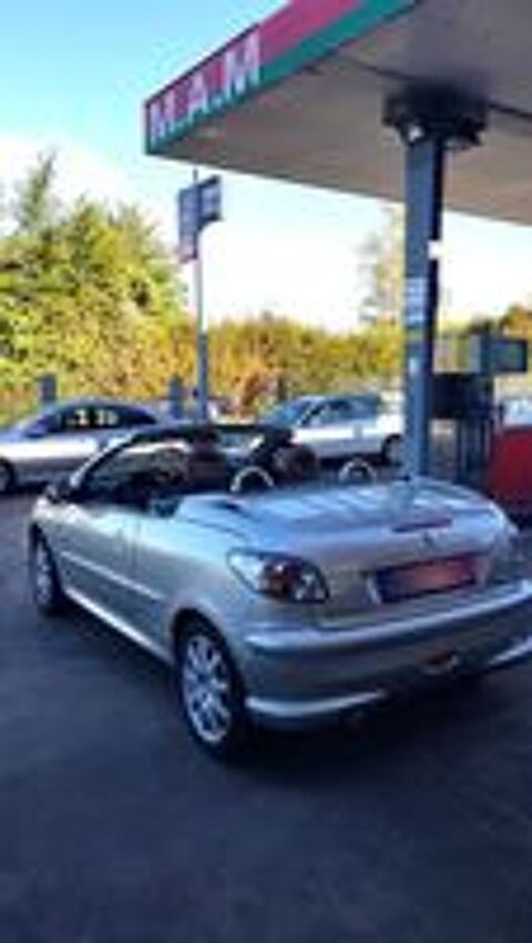 206 CC 1.6i 16V Roland Garros 2004 occasion 41500 Cour-sur-Loire