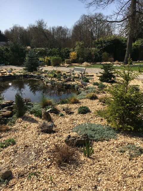 Copeaux de bois / plaquettes foresti�res / BRF 8 Therdonne (60)